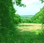 Photo of campsite